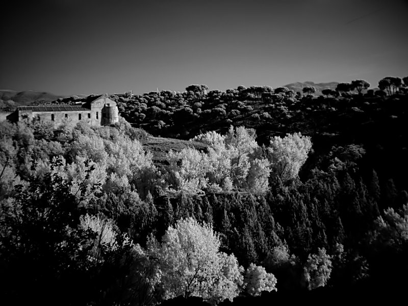 View from Toledo #1 - by Tony Karp