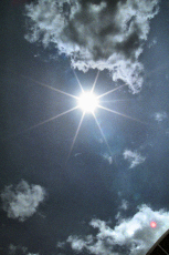 Sun star