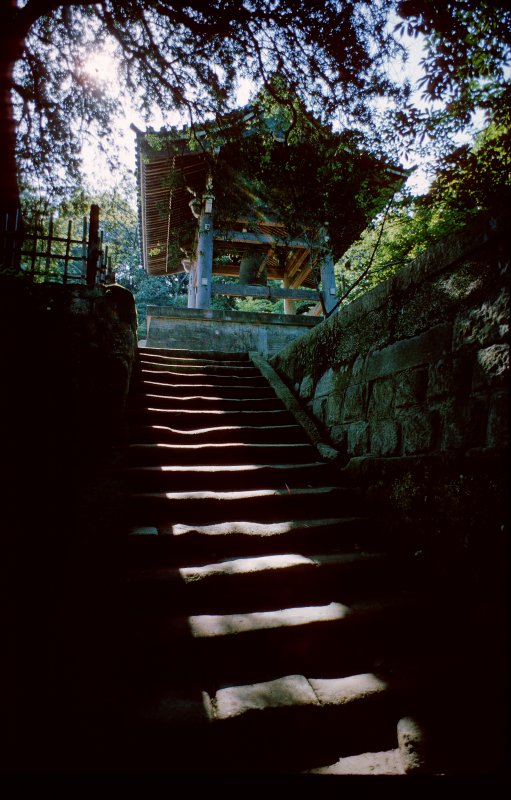 Kamakura dream - by Tony Karp