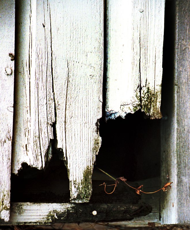 Roslyn still life - by Tony Karp